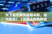 5年前网贷逾期五万元