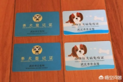 狗证怎么办理？不办会怎样？丢了咋补？一篇说透！