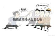 税收滞纳金怎么算？逾期没缴税，多出的钱到底从哪来？