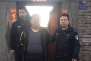 车辆被网贷公司起诉了，我该怎么办？