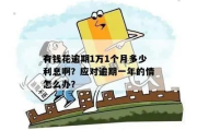 欠有钱花1万逾期1年，利息竟能翻倍？律师教你如何应对！
