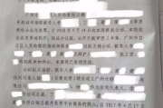 —一位刑辩律师摸着良心写的专案组明白纸