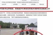 孩子在学校受欺负了怎么办？举报学校到底该怎么操作才有效？