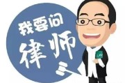 —资深律师手记 不写套话，只讲真话