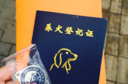 不办狗证会怎样？被罚了才知道后悔？
