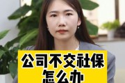 公司不交社保，我该怎么办？你的权益守护指南