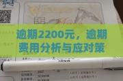 2200元逾期一年，你会面临什么？