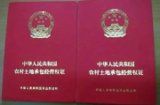 土地证怎么办理？手续不清跑断腿，一文讲透少走弯路！