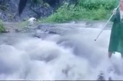 你有没有见过这样的场景？