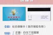 社保卡卡号怎么查？手把手教你5种实用方法，关键时刻不抓瞎！