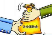 失业了别慌！失业保险怎么领？手把手教你‘救命钱’到账！