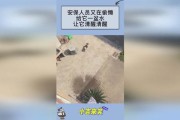 先泼一盆清醒水