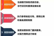 —别再问医保在哪报，先搞懂你属于哪张网、站在哪条线