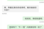 微信贷款逾期1年，后果真的只是被催收吗？