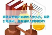 网贷逾期还能当企业法人吗？法律风险与实操指南