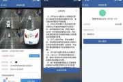 车违章怎么查？查了之后不处理会怎样？有人因此被拉黑了！