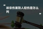 故意伤人轻伤到底咋界定？一旦认定会有啥后果？