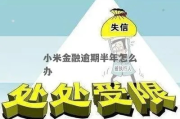 小米金融逾期1年多少？逾期后果与应对全解析