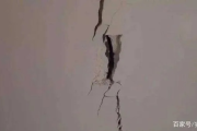 墙面裂缝怎么办？房子开裂是小事还是隐患？发现后该找谁负责？