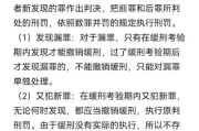 刑罚到底是‘惩罚’还是‘救赎’判了缓刑算不算坐过牢？