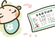 出生证明丢了怎么办？别慌，律师手把手教你补救！