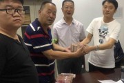 离婚官司怎么打？刚递诉状就慌了，调解书还没签就反悔了？