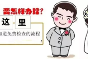 免费婚检怎么申请？手把手教你薅政府福利！