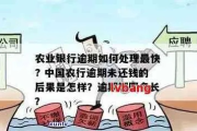 农行逾期在哪里看？逾期了怎么办？资深律师教你从容应对