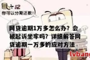 网贷一万元逾期了怎么办？律师教你如何应对！