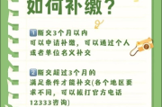 社保断缴了怎么办？补交流程全揭秘，错过一次多花几万块！