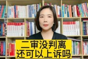 一审没判离，二审要请律师吗？专业律师为你支招