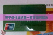 苏宁任性贷1万逾期1年，后果真的只是催收那么简单？