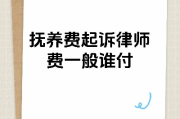 抚养费请律师费用谁出？律师费该由谁买单？