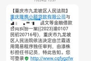 网贷被起诉后，到底还能不能再借到网贷呢？