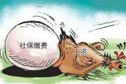 十年青春奉献，社保竟成空谈？企业十年不交社保，员工权益何去何从？