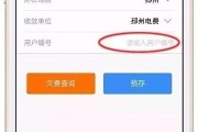 电费逾期了怎么办？哪里可以快速查询？