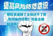 贷款王逾期被起诉了怎么办？手把手教你应对债务风暴