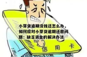 逾期了哪里可以小额借钱？紧急资金如何合法解决？