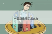 一品贷逾期一年了，我该如何应对？