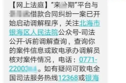 网贷真的被起诉了，我该怎么办啊？
