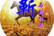 移车打什么电话？114不管用、110不受理，到底该找谁？