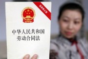 —一位执业12年劳动与社会保障律师的真心话