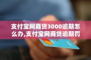 支付宝网商贷逾期一周会怎样？如何补救避免信用受损？