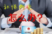 自己怎么交社保？断缴了怎么办？手把手教你续命养老和医保！