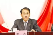 区委常委是正厅级？副厅级？别再被‘常委’俩字唬住了！