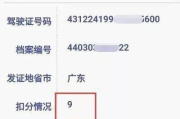 驾驶证怎么查？手把手教你查分、查状态，关键时刻不抓瞎！