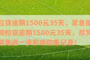 逾期了哪里能借1500？突然逾期了怎么办？