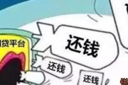 首先，你得明白，网贷平台起诉你，核心诉求肯定是让你还钱。但这钱怎么还，还多少，这里面可有不少说道