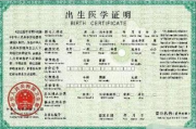 出生证明丢了怎么办？补办流程全解析，一次看懂不踩坑！
