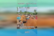 你是不是也见过这样的场景？